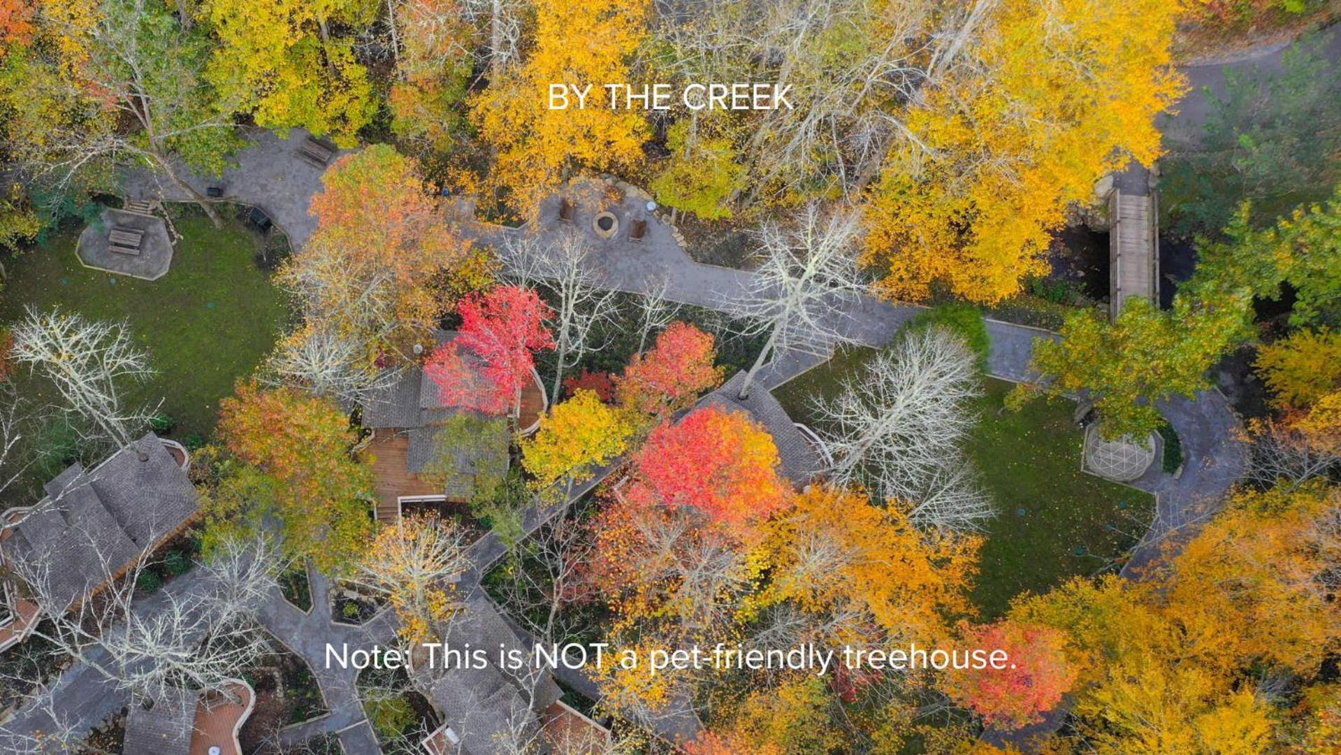 Villa The Dogwood In Treehouse Grove At Norton Creek Gatlinburg Exterior foto